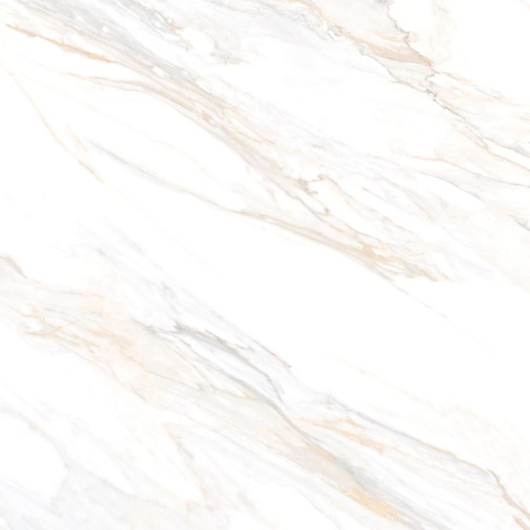 Aurum Calacatta Polished 36 x 36